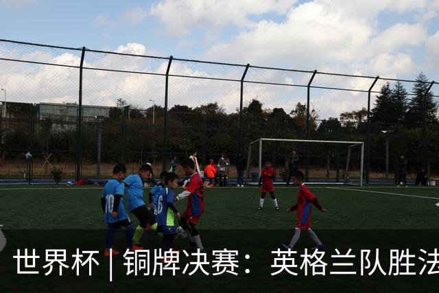 世界杯 | 铜牌决赛：英格兰队胜法国队