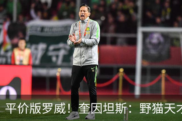 平价版罗威！奎因坦斯：野猫天才内线 存伤病隐患 罚球致敬米切罗