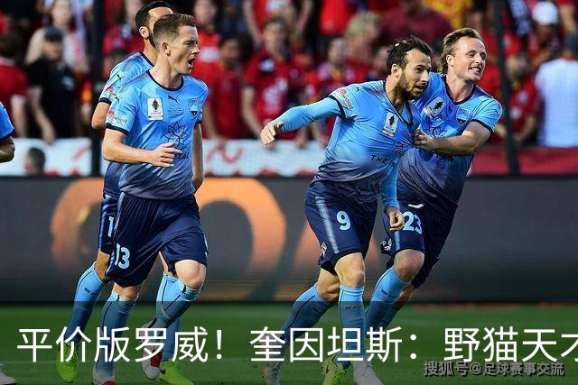 平价版罗威！奎因坦斯：野猫天才内线 存伤病隐患 罚球致敬米切罗