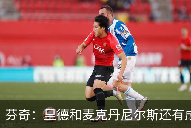 芬奇：里德和麦克丹尼尔斯还有成长空间 里德能成为出色的组织者