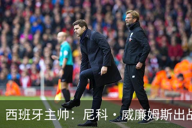 西班牙主帅：尼科·威廉姆斯出战存疑 皮诺或缺席剩余比赛