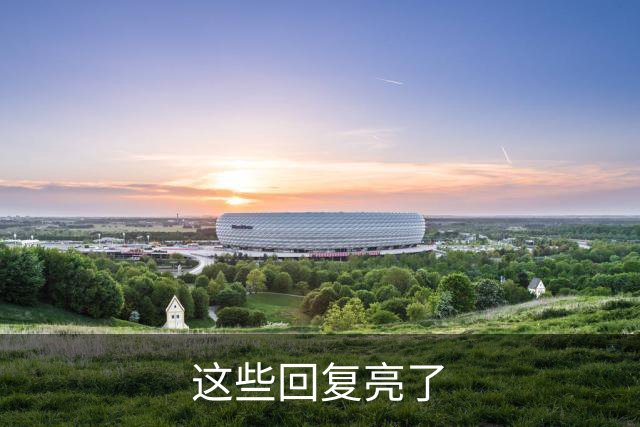这些回复亮了