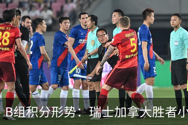 B组积分形势：瑞士加拿大胜者小组第一 平局保携手出线
